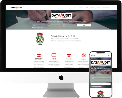 dataauditconsultores.es